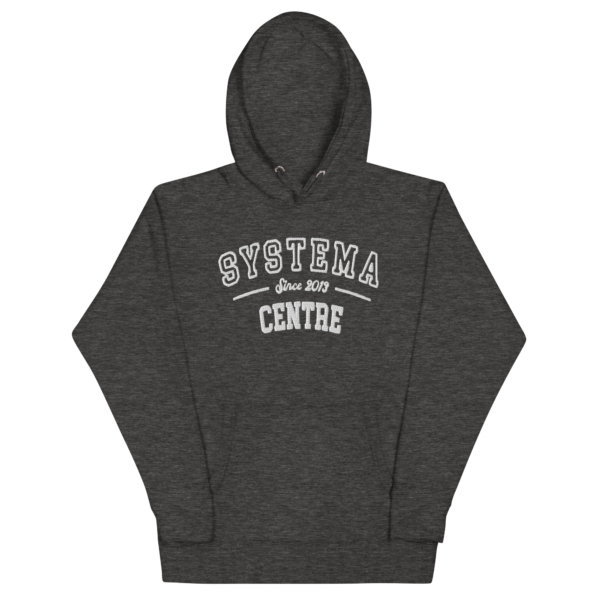 Hoodie Systema Centre since 2013