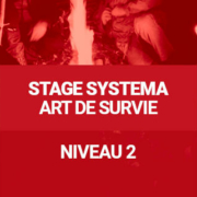 Stage Systema Art de Survie - Niveau 2