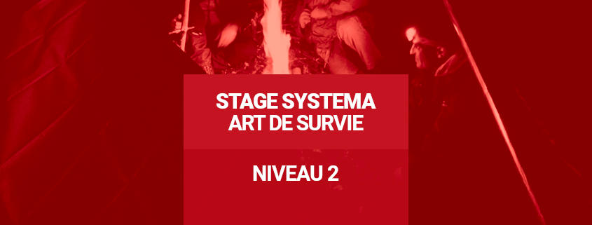 Stage Systema Art de Survie - Niveau 2