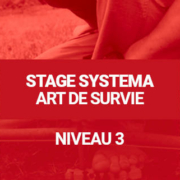 Stage Systema Art de Survie - Niveau 3