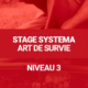 Stage Systema Art de Survie - Niveau 3