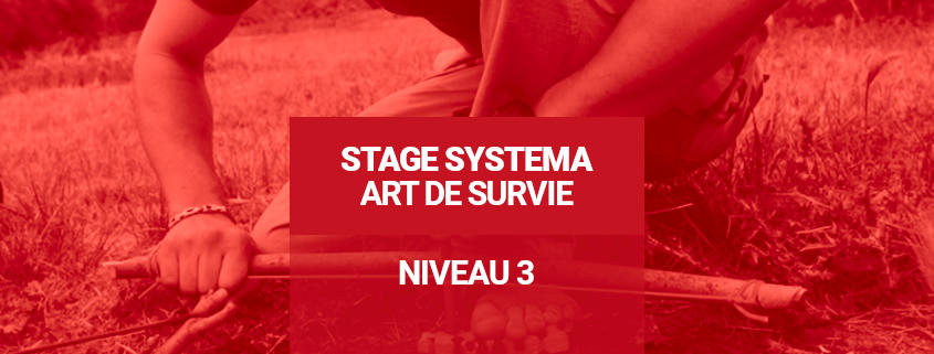 Stage Systema Art de Survie - Niveau 3