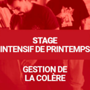 Séminaire Intensif de Printemps - Gestion de la colère