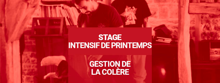 Séminaire Intensif de Printemps - Gestion de la colère