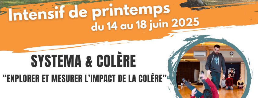 Stage Intensif de printemps : Systema & Gestion de la colère