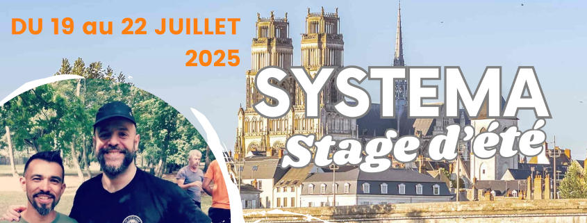 Systema : Stage d'été à Orléans, du 19 au 22 juillet 2025