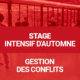 Séminaire Intensif d’Automne : Systema et Gestion des conflits