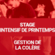 Séminaire Intensif de printemps : Systema et gestion de la colère