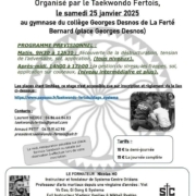 Stage découverte au TKD Fertois