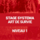 Stage "Systema Art de Survie" : Niveau 1