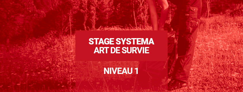 Stage "Systema Art de Survie" : Niveau 1