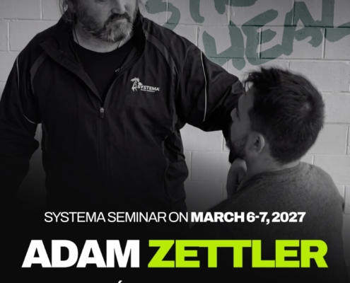 Séminaire "Move Strike Heal" avec Adam Zettler à Orléans les 6 & 7 mars 2027
