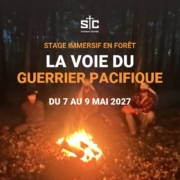 Visuel du stage La Voie du Guerrier Pacifique, du 7 au 9 mai 2027 en Dordogne