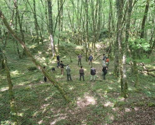 Stage en forêt 2026 : Le groupe en cercle dans le sous-bois Le groupe en cercle dans le sous-bois, stage en forêt de mai 2026 en Dordogne