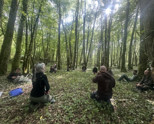 Stage en forêt 2026 : Temps d'échange, assis en cercle Temps d'échange, assis en cercle, stage en forêt de mai 2026 en Dordogne