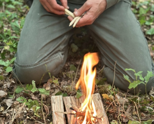 Stage en forêt 2026 : Allumage d'un feu Allumage d'un feu, stage en forêt de mai 2026 en Dordogne