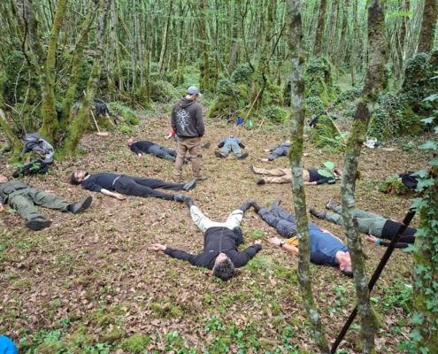 Stage en forêt 2026 : Relâchement au sol après l'effort Relâchement au sol après l'effort, stage en forêt de mai 2026 en Dordogne